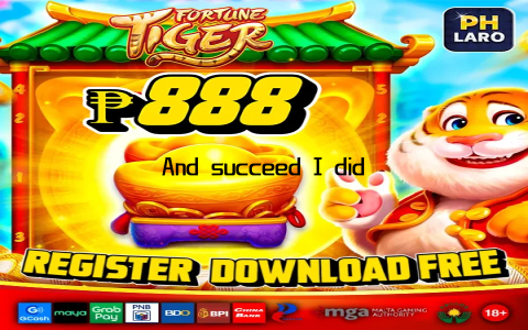 And succeed I did